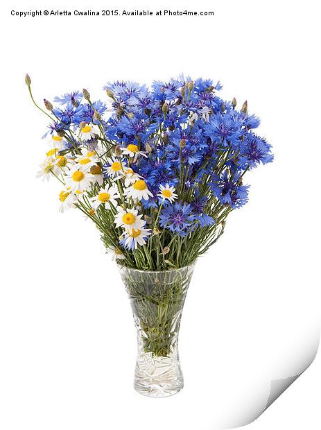 White camomile and blue cornflower in glass vase Print by Arletta Cwalina