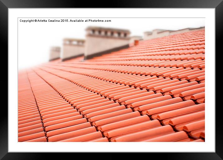 rows of red tiles roof with chimneys  Framed Mounted Print by Arletta Cwalina