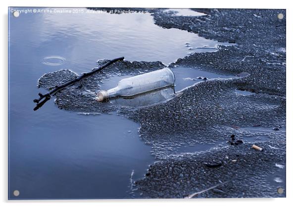 glass bottle garbage on melting ice on lake  Acrylic by Arletta Cwalina
