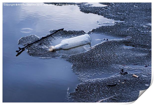 glass bottle garbage on melting ice on lake  Print by Arletta Cwalina