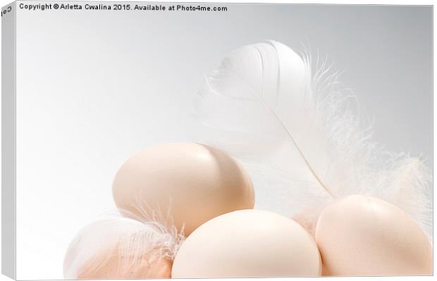 Fresh eggs heap and white fluffy feather  Canvas Print by Arletta Cwalina