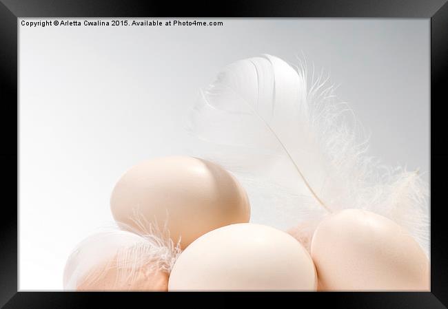 Fresh eggs heap and white fluffy feather  Framed Print by Arletta Cwalina