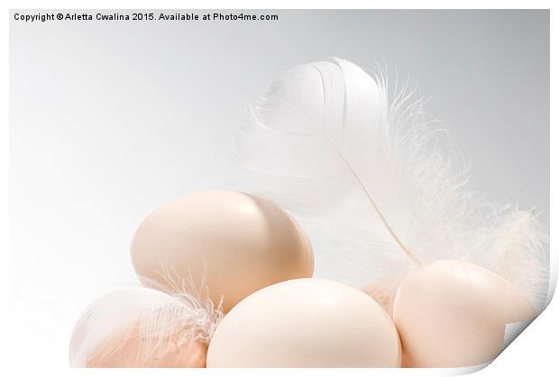 Fresh eggs heap and white fluffy feather  Print by Arletta Cwalina