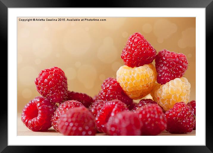 bright red and golden raspberry fruits Framed Mounted Print by Arletta Cwalina