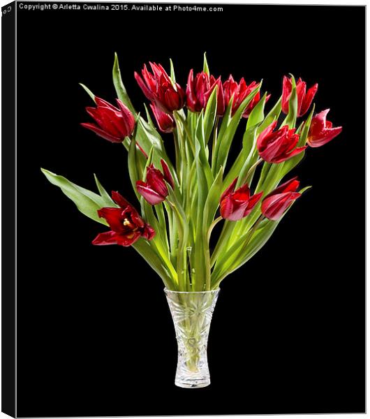 Red cut tulips bouquet in glass vase isolated  Canvas Print by Arletta Cwalina