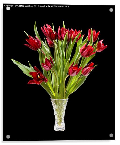 Red cut tulips bouquet in glass vase isolated  Acrylic by Arletta Cwalina