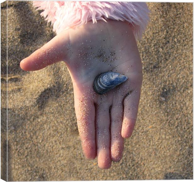 Child's Hand Holding a Shell Canvas Print by C.C Photography