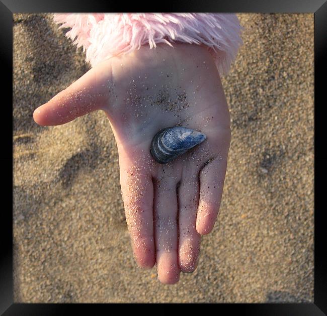 Child's Hand Holding a Shell Framed Print by C.C Photography