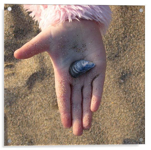 Child's Hand Holding a Shell Acrylic by C.C Photography