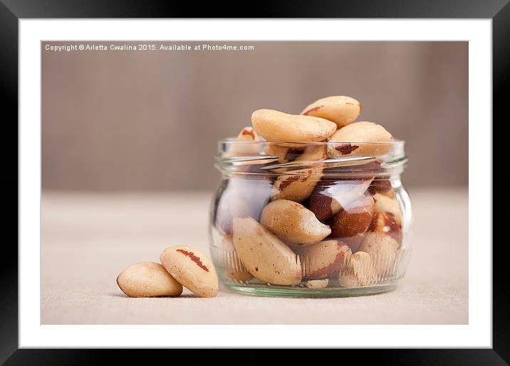 Brazil nuts from Bertholletia excelsa tree  Framed Mounted Print by Arletta Cwalina