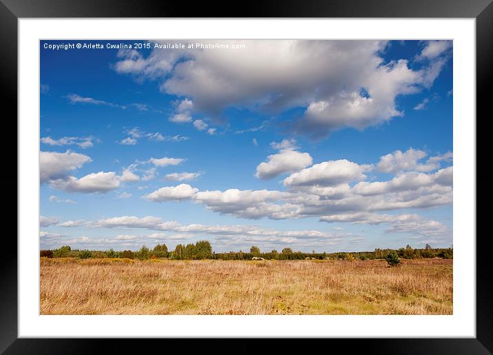 Blue sky cloudscape rural landscape  Framed Mounted Print by Arletta Cwalina