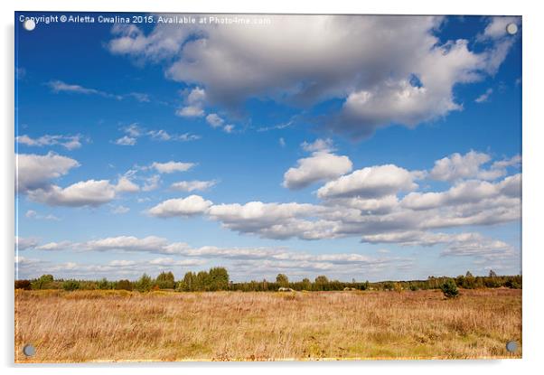 Blue sky cloudscape rural landscape  Acrylic by Arletta Cwalina
