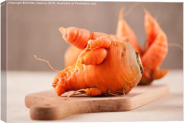 raw deformed carrot roots  Canvas Print by Arletta Cwalina