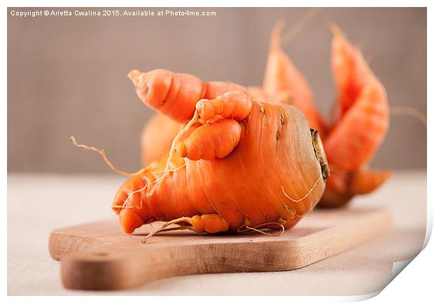 raw deformed carrot roots  Print by Arletta Cwalina