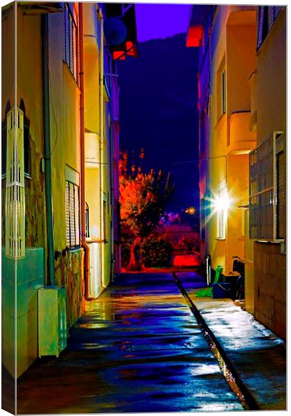 Digital painting of an alley at nightime Canvas Print by ken biggs