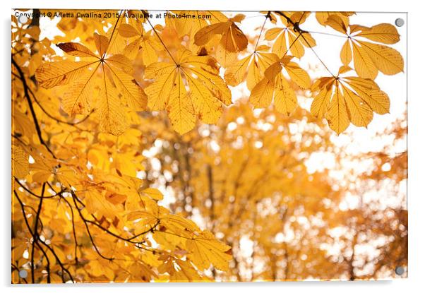 chestnut autumn yellow leaves Acrylic by Arletta Cwalina