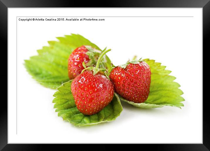 fresh strawberries fruits lying on leaf on white  Framed Mounted Print by Arletta Cwalina