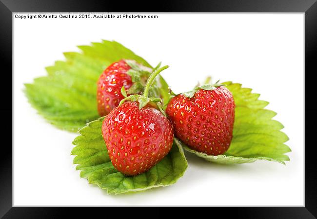 fresh strawberries fruits lying on leaf on white  Framed Print by Arletta Cwalina