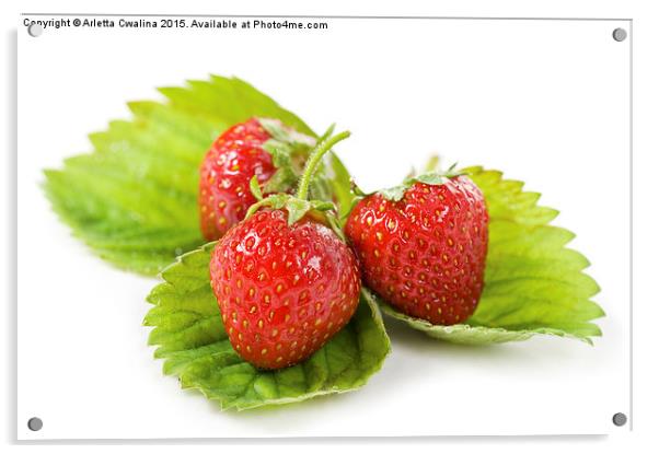 fresh strawberries fruits lying on leaf on white  Acrylic by Arletta Cwalina