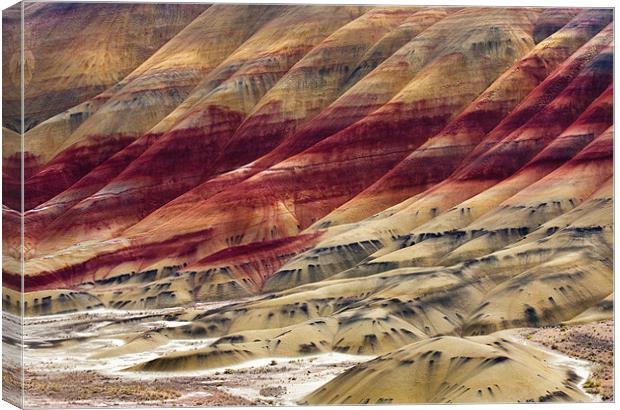 Painted Hills Contour Canvas Print by Mike Dawson