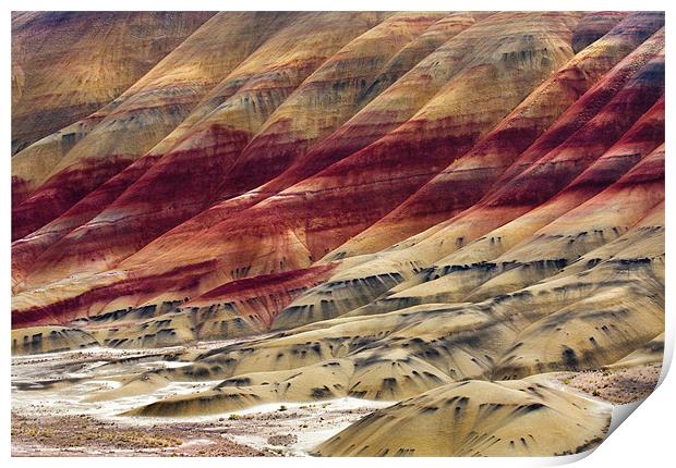Painted Hills Contour Print by Mike Dawson