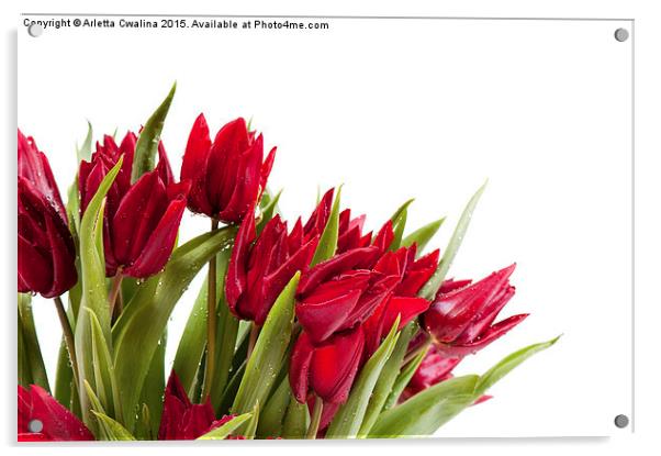 Red tulips bouquet sprinkled with water  Acrylic by Arletta Cwalina