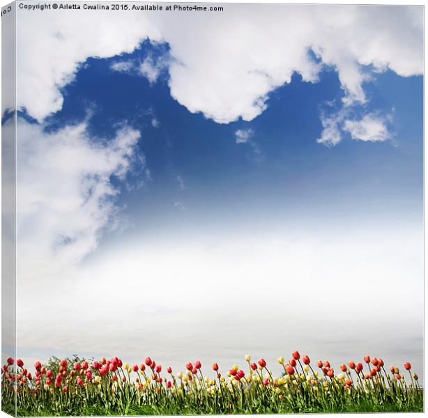 Red and yellow tulips and cloudscape  Canvas Print by Arletta Cwalina