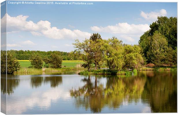 Lake and trees rural landscape in Poland Canvas Print by Arletta Cwalina