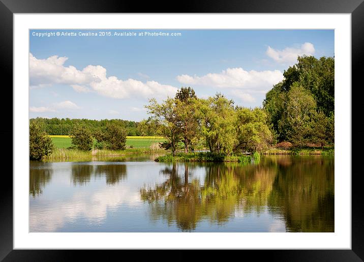 Lake and trees rural landscape in Poland Framed Mounted Print by Arletta Cwalina