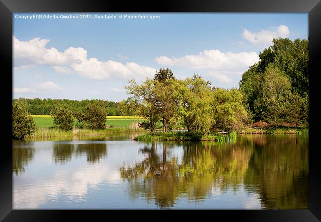 Lake and trees rural landscape in Poland Framed Print by Arletta Cwalina