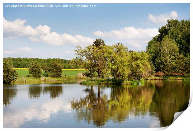 Lake and trees rural landscape in Poland Print by Arletta Cwalina