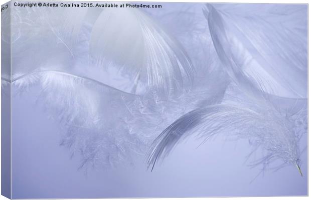 feathers hover on blue Canvas Print by Arletta Cwalina