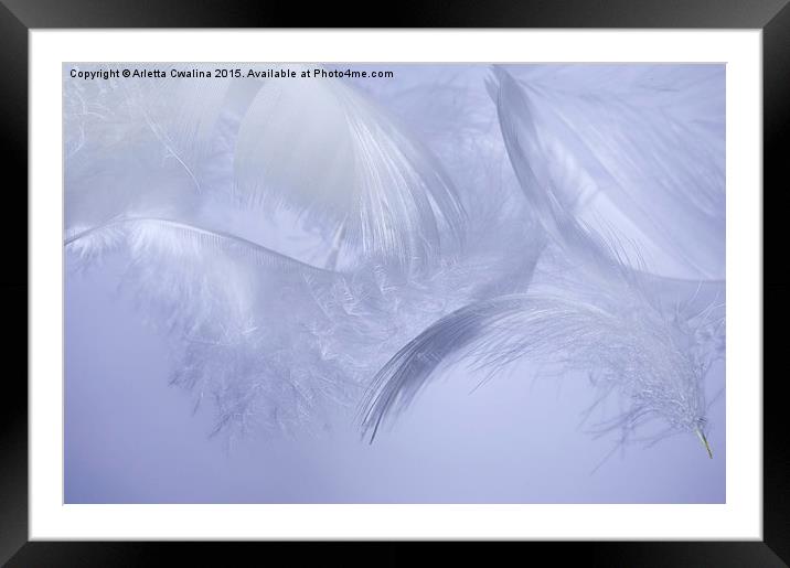 feathers hover on blue Framed Mounted Print by Arletta Cwalina