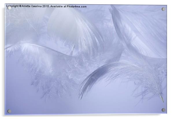 feathers hover on blue Acrylic by Arletta Cwalina