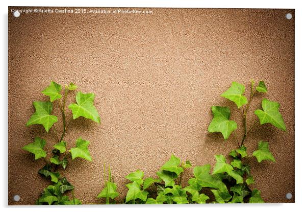 leaves of hedera helix ivy and wall  Acrylic by Arletta Cwalina