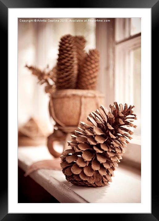 old dried cones on windowsill sepia toned  Framed Mounted Print by Arletta Cwalina