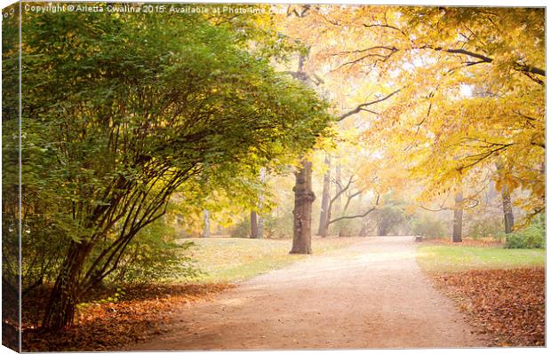 Yellow and green autumn leaves in park alley  Canvas Print by Arletta Cwalina