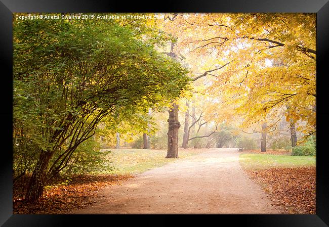 Yellow and green autumn leaves in park alley  Framed Print by Arletta Cwalina