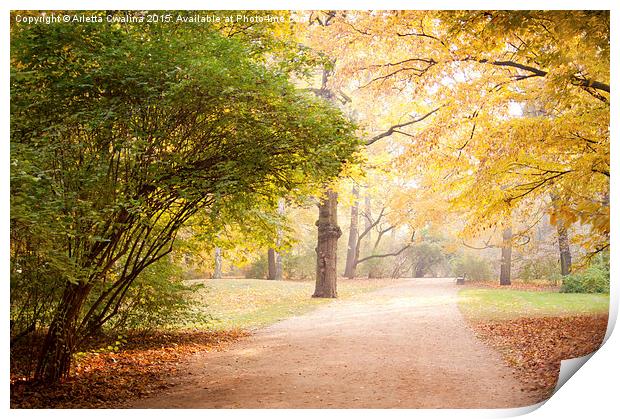 Yellow and green autumn leaves in park alley  Print by Arletta Cwalina