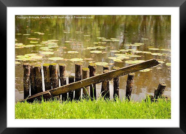 broken wooden fence on pond shore Framed Mounted Print by Arletta Cwalina