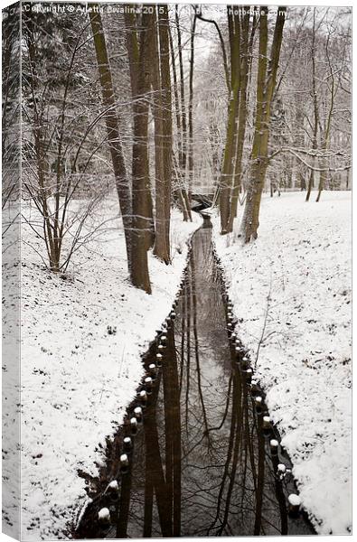 winter weather in Poland Canvas Print by Arletta Cwalina