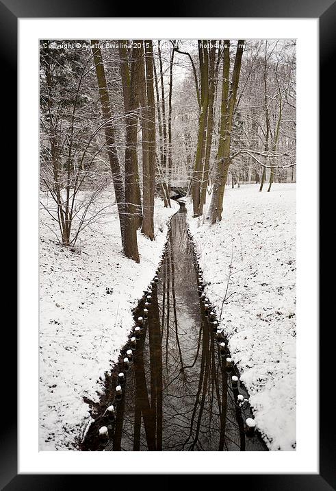 winter weather in Poland Framed Mounted Print by Arletta Cwalina