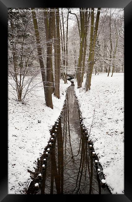 winter weather in Poland Framed Print by Arletta Cwalina