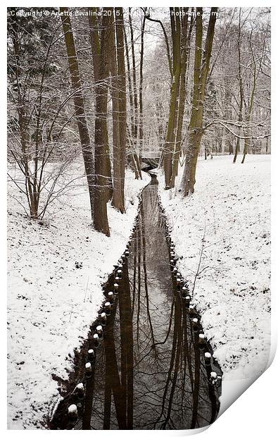 winter weather in Poland Print by Arletta Cwalina