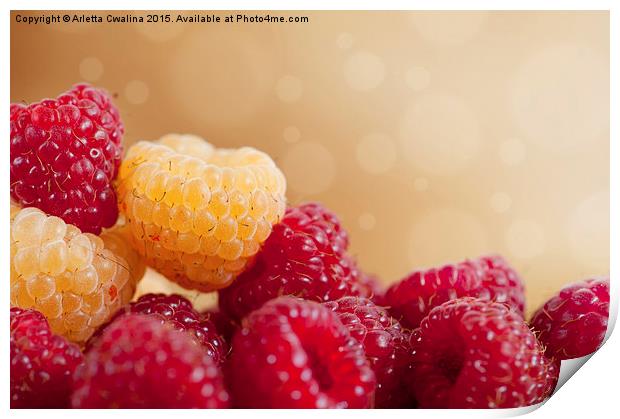 raspberry fruits in pile with circles bokeh  Print by Arletta Cwalina