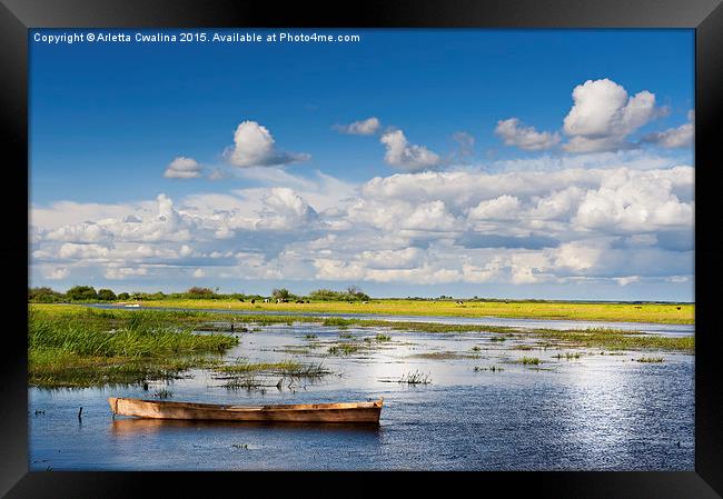 wooden boat in Biebrza wetland area Framed Print by Arletta Cwalina