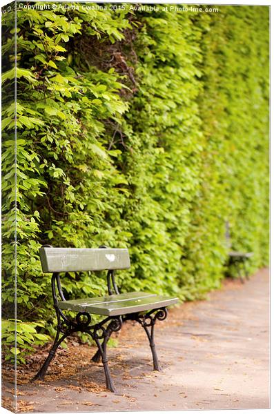 hedgerow and empty bench Canvas Print by Arletta Cwalina