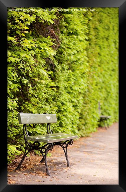 hedgerow and empty bench Framed Print by Arletta Cwalina