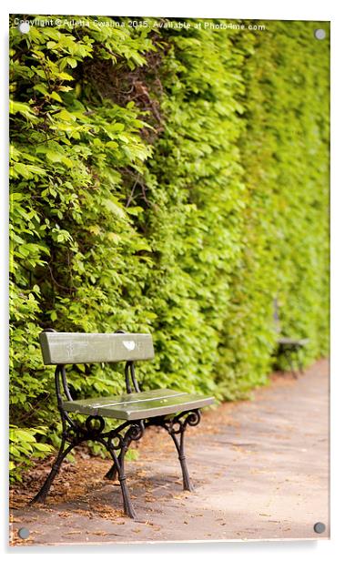 hedgerow and empty bench Acrylic by Arletta Cwalina