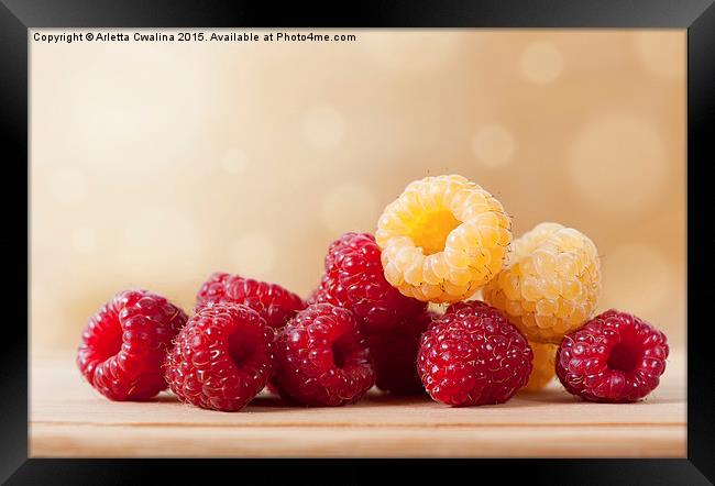 ripe red and golden raspberry fruits Framed Print by Arletta Cwalina